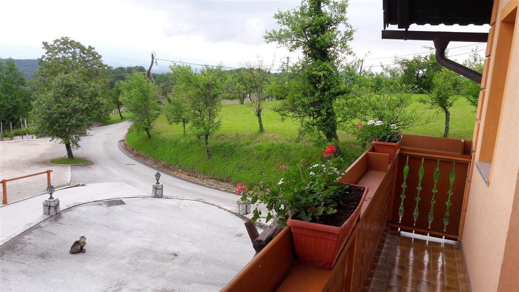 Tourist Farm Skrbina Apartment Otocec Luaran gambar